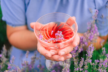 Hands holding a glass of wine with lavender flowers in a lavender field