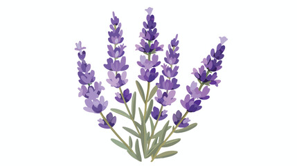 Lavender flower design illustration vector eps format