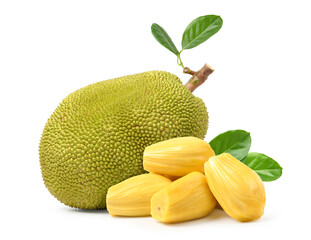 Ripe Jackfruit with bulbs isolated on white background.