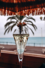 Palm tree reflected in a glass of champagne, Promenade des Anglais, Nice