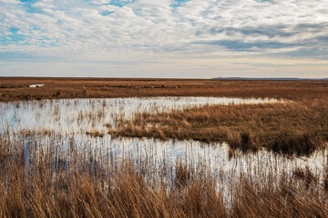 Fototapeta premium Histria Citadel's Museum - Europe, Romania, Constanta region, Istria, 2024.01.04 year