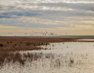 Histria Citadel's Museum - Europe, Romania, Constanta region, Istria, 2024.01.04 year