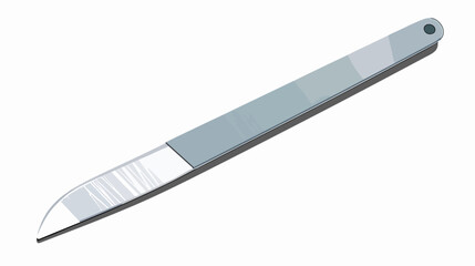 Metal nail file. Professional manicure and pedicure