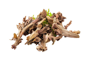 Yasamuanprai tree blooms
.isolated on white background