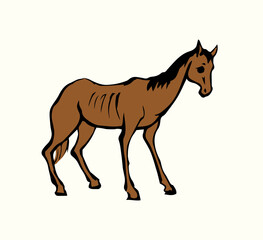 Starving skinny horse. Vector drawing - 787100946