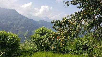 Beautiful Nepal Landscape and Roadways.