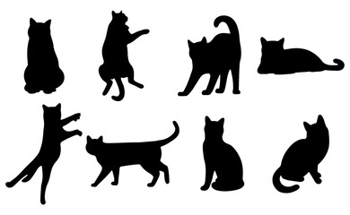 Cat shadow 2 cute on a white background, vector illustration.