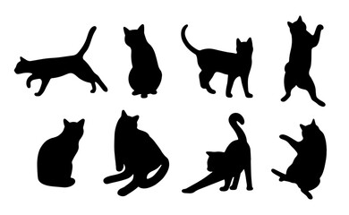 Cat shadow 10 cute on a white background, vector illustration.
