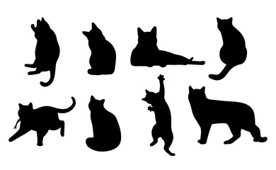 Cat shadow 16 cute on a white background, vector illustration.