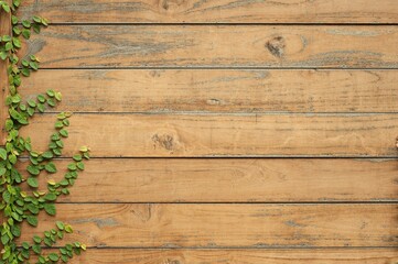 Leaves On Wall And Wood Wall For Background