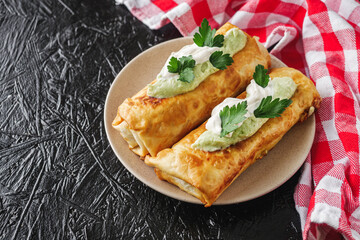 set of delicious fresh colorful deep-fried chimichanga on a dark background