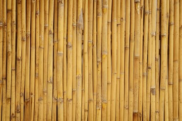 Bamboo Wall House