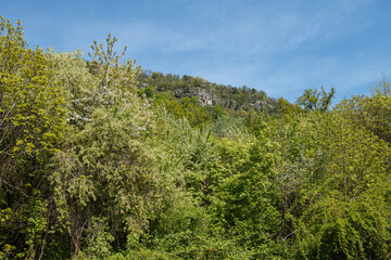 View of the hilltop.