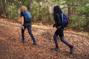 Group of hikers on a trail in the mountains