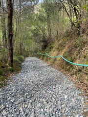 Path with crushed stones through a forest on the Camino del Norte in Spain