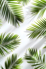 palm tree branches