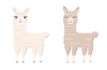 Cute cartoon hand draw lama, alpaca. Character for the logo, mascot, design.