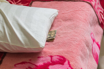 A twenty-dollar bill placed under a pillow above the bedspread. Form of Gratitude for Services...