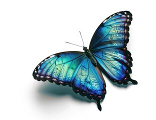 Vibrant blue and green butterfly captured against a plain white background