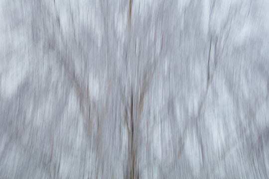 Intentional camera movement (ICM) image of a dream like view of leafless tree branches in winter created by motion blur, Haltiala, Helsinki, Finland.