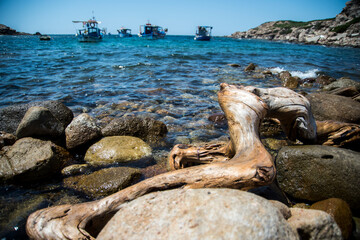 Waves on a Driftwood Tree Trunk  at Porto Ferro, in a bay with fishermen boats. Alghero,Sardinia, Italy