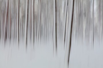 Intentional camera movement (ICM) image of a dream like view of forest tree trunks in winter with snow on the ground created by motion blur, Kallahdenniemi, Helsinki, Finland.