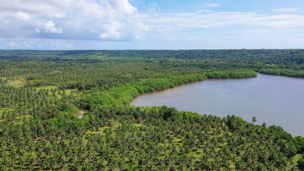 View of the green tropical forest. River in a tropical jungle. High quality bird's eye view photo.