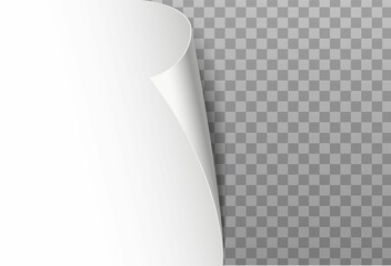 Realistic Vector Illustration Curled Paper Corner.Jpg