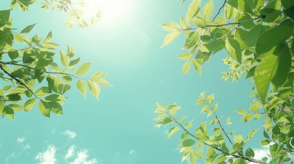 Branches and Leaves Reaching Towards the Sky on a Radiant Day