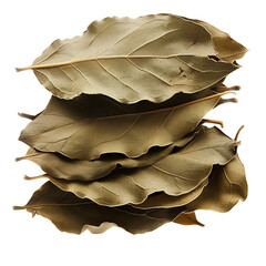 A stack of dried bay leaves, casting a complex aroma, ready for enriching stews and soups, symbolizing tradition, isolated on transparent background - obrazy, fototapety, plakaty