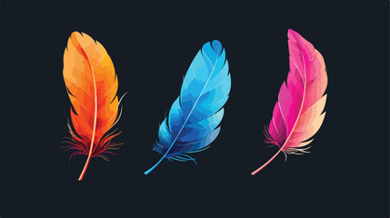 Beautiful color feather isolated on black background