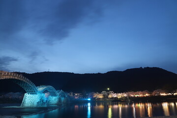 『錦帯橋とサクラ』夜桜 ライトアップ 山口県岩国   日本観光　Kintai Bridge 　