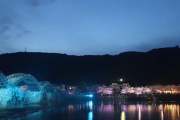 Blackout curtains Kintai Bridge 『錦帯橋とサクラ』夜桜 ライトアップ 山口県岩国   日本観光　Kintai Bridge 　