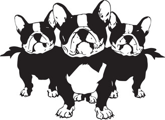 Discover the Irresistible World of French Bulldog Puppies Cute, Cuddly, and Full of Surprises