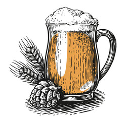 Glass mug beer, hops and ears of wheat. Pub, brewery concept. Hand drawn vintage vector illustration