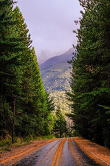 Small circuit 'Circuito Chico' in bariloche route 40, autumn winter season with orange, yellow and green colors. Argentine Patagonia