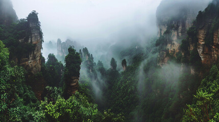 Misty Rain and Towering Rock Formations: Zhangjiajie's Stunning Natural Beauty Captured in a Photo