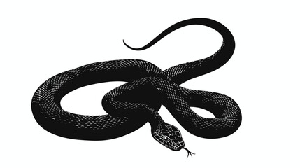 Black snake silhouette isolated on white background vector