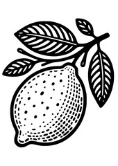 Lemon SVG, Lemon Line Art, Lemon Art Print, Lemon Silhouette, Citrus SVG, Lemon Clipart, Lemon Cut file for Cricut, Lemon Logo, Lemon Design