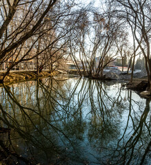 Obraz premium Reflection of trees in a pond on a summer day.