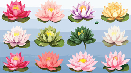 Fototapeta na wymiar Photographic images of lotus flowers in various color