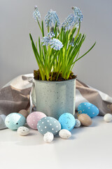 Easter eggs and light blue muscari flowers in cup on a white table. Easter still life