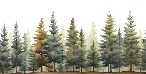 PNG Border pine trees backgrounds outdoors woodland - obrazy, fototapety, plakaty