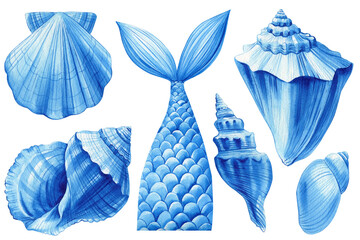 Blue summer set of seashells, isolated white background, watercolor hand-drawing, painting. Sea shells, Mermaid's tail - 787154178