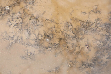 A puddle - in it cloudy water, yellowish and muddy from clay.