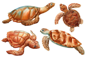 Watercolor realistic Sea Turtles set on isolated white background, Turtle Closeup Hand drawn illustration clipart - 787155719