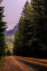 Small circuit 'Circuito Chico' in bariloche route 40, autumn winter season with orange, yellow and green colors. Argentine Patagonia