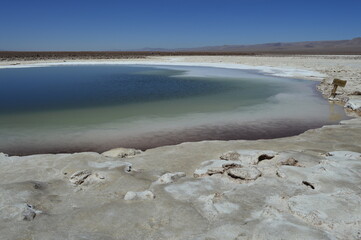 Lagoa colorida no Deserto do Atacama
