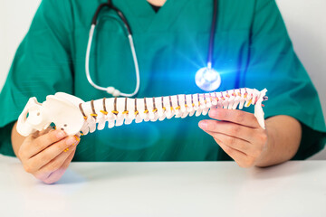 Doctor neurosurgeon holds a model of the spine in his hands. The concept of treating spinal...