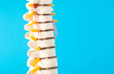 Mockup of the cervical spine on a blue background. The concept of health and treatment of spinal diseases, osteochondrosis and intervertebral disc herniation. Copy space for text, spondylolisthesis - 787160921
